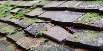 Tuebrook roof repair costs